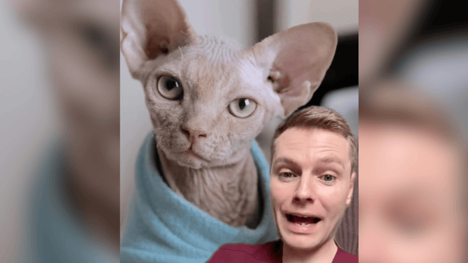 Sphynx cat with Ben The Vet