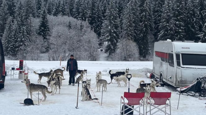 Stel met 18 husky's reist door Europa