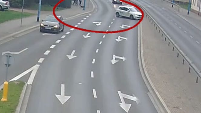 Stłuczka spowodowana przez psa