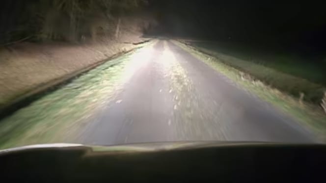 Straße vor dem Tierheim