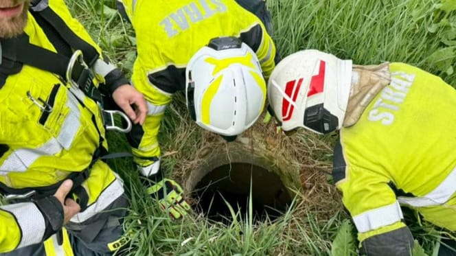 strażacy wyciągają psa ze studni
