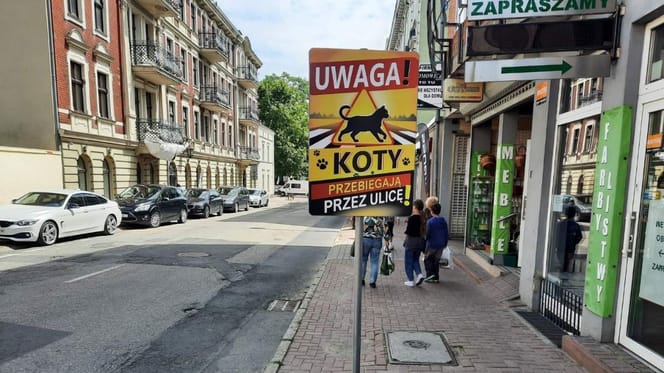 Tablica informacyjna o kotach w Gnieźnie