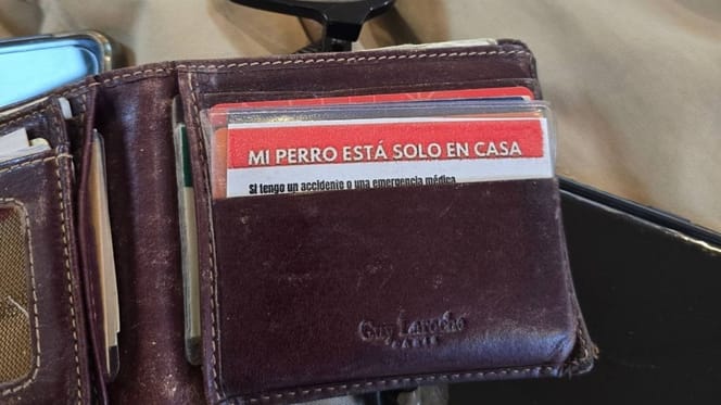 tarjeta-cartera-emergencia-perro