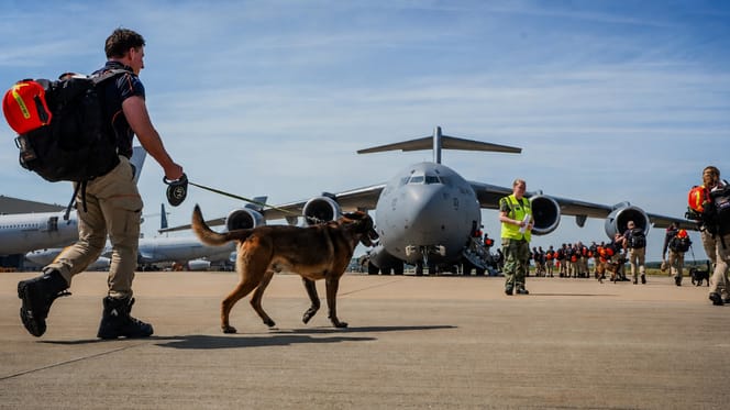 Team USAR vliegt met 8 honden weer terug vanuit Venezuela