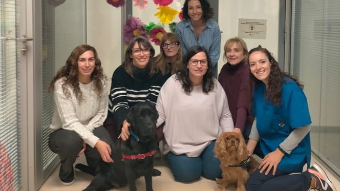 terapia-asistida-con-perros-vilanova-geltru-granollers