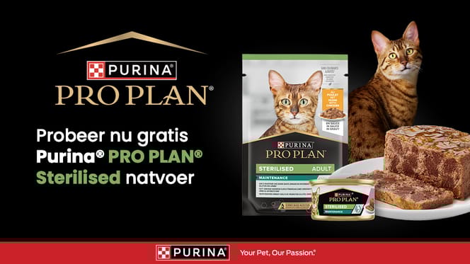test PRO PLAN gratis