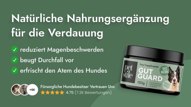 Tipps für eine gesunde Verdauung bei Hund