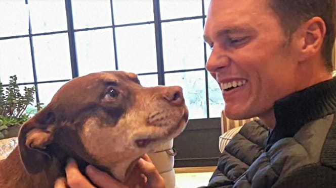 Tom Brady mit Hund Junie