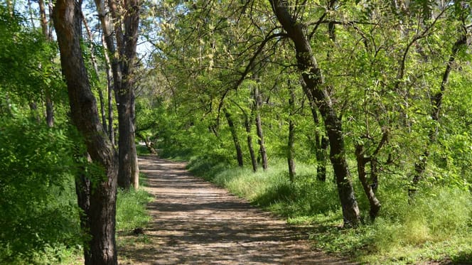 Trauriger Fund in einem Wäldchen