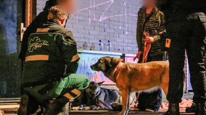 Twee honden uit brandend huis gered in Nijmegen
