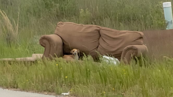 An abandoned sofa