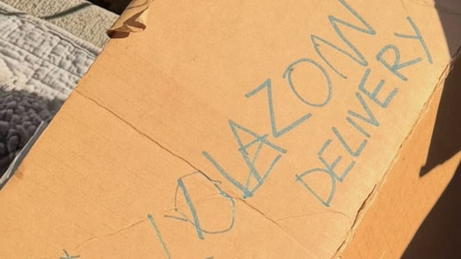 An abandoned cardboard box in front of a rescue centre with a note