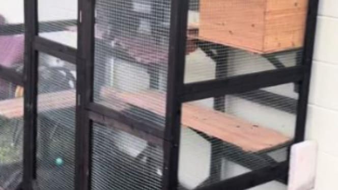 Ein Catio