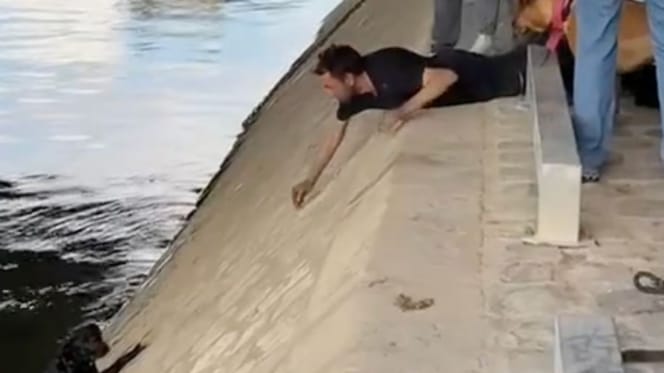 Un chien a été sauvé de la noyade