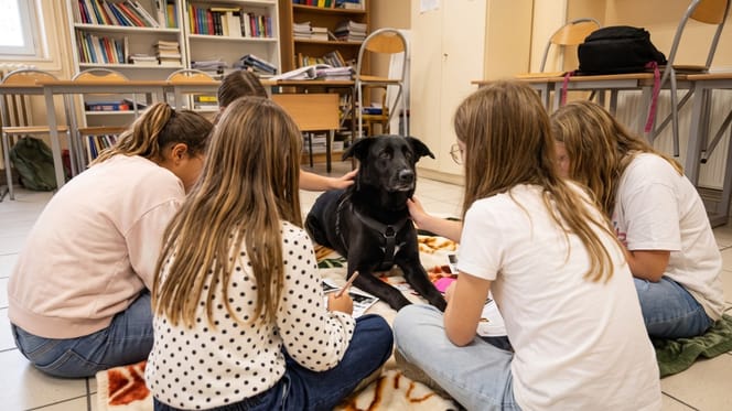 Un chien au collège pour accompagner les enfants