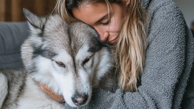 Un cane con la sua padrona triste