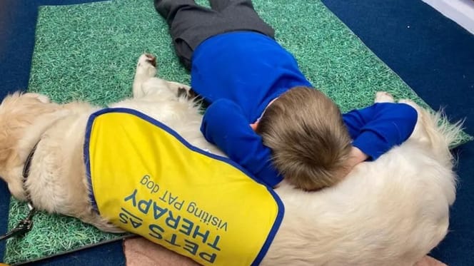 Un cane da terapia con un bambino