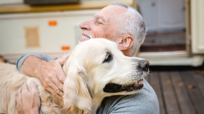 Un chien et son maître