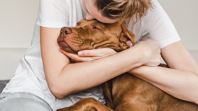 A dog cuddling a woman