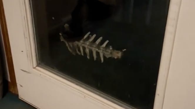 Een hond met een skelet in zijn bek