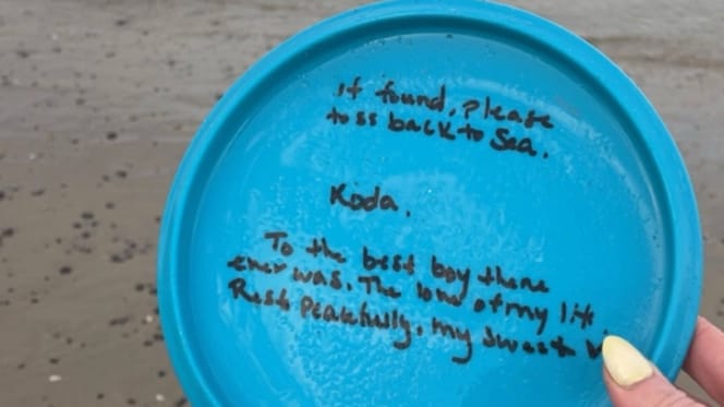 Een op het strand gevonden frisbee met een ontroerende boodschap