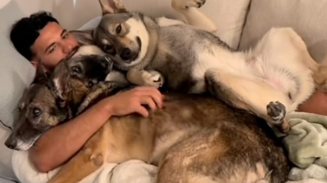 Un homme dans son lit avec ses chiens