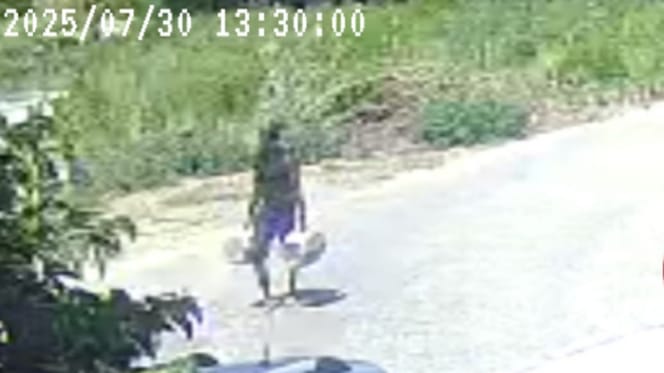 Un homme en train d'abandonner des chats