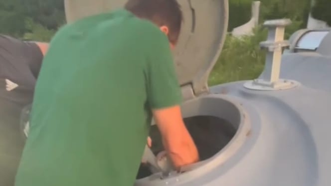 Ein Mann findet ein Kätzchen in einem Mülleimer