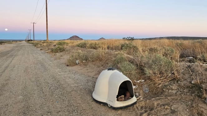 An abandoned igloo in the desert