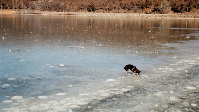 Un lago ghiacciato