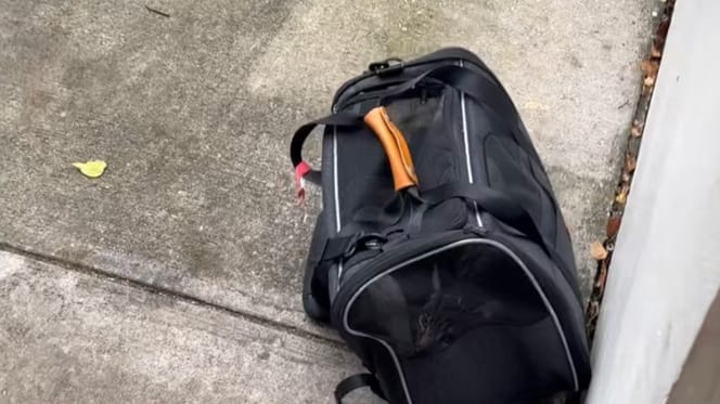 Un sac abandonné devant un refuge