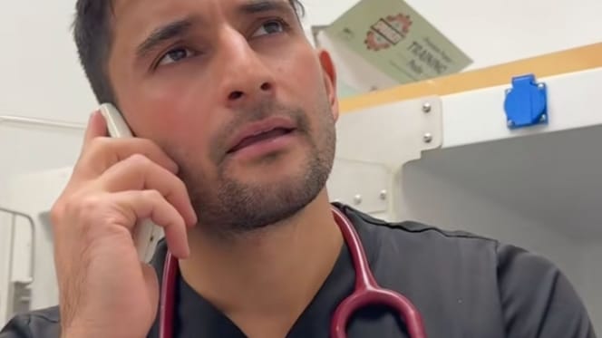 Un vétérinaire