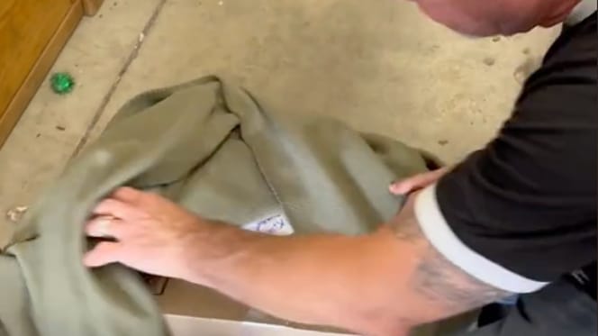 Eine an das Tierheim geschickte Kiste