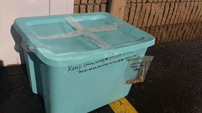 A sealed box abandoned outdoors