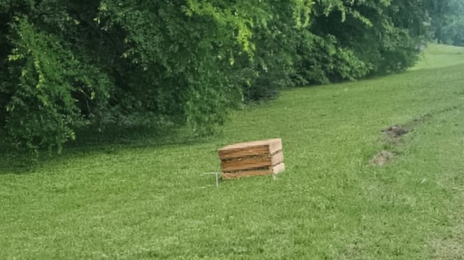 Een achtergelaten kist in de natuur