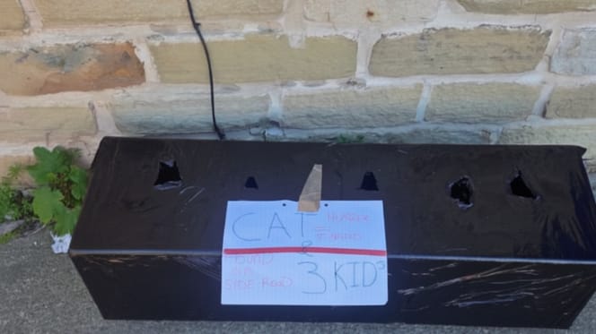 A taped-up planter box