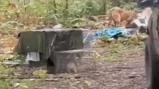 Een oude, verlaten caravan