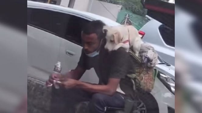 Mann mit Hund auf den Schultern