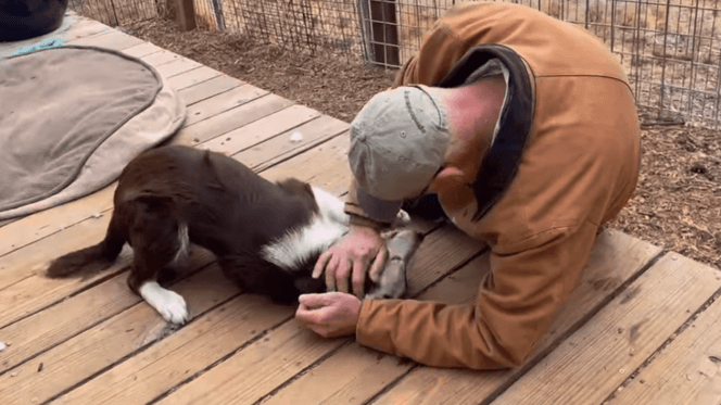 Hombre visita al perro que salvó
