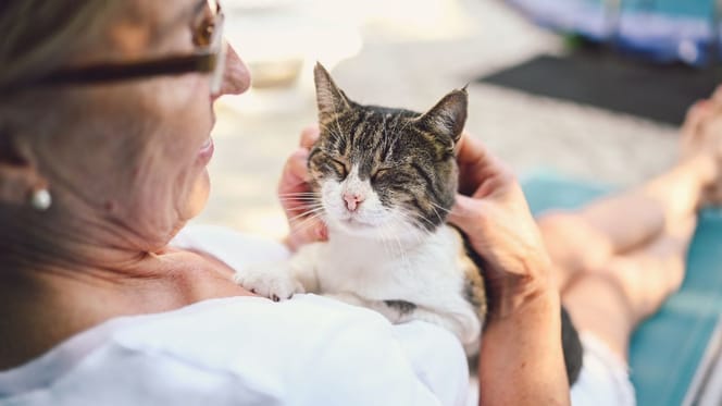 vieille dame et chat