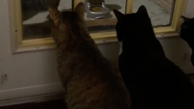 Besucher vor dem Haus