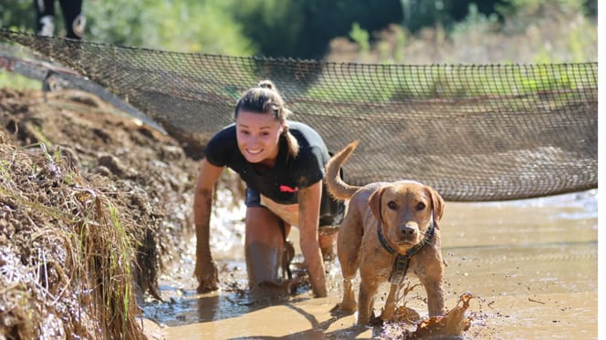 Vivez des moments de bonheur et de sport avec votre toutou au Woofest