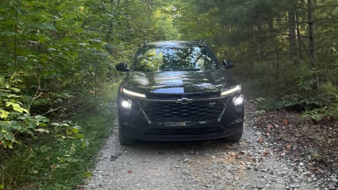 Auto nel bosco