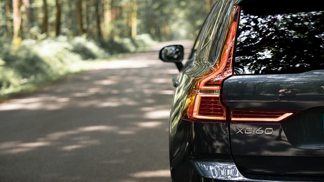 Vrouw spant rechtzaak aan tegen Volvo vanwege ongeluk door hond