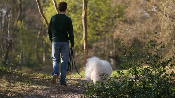 Waarschuwing om je hond aan de lijn te houden tijdens het broedseizoen