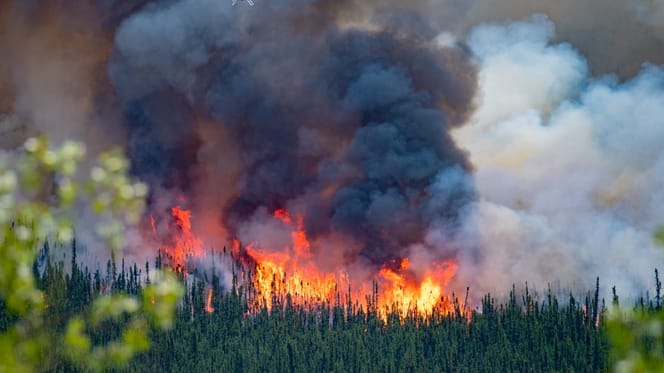 Waldbrand in Kanada