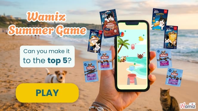 Wamiz summer game