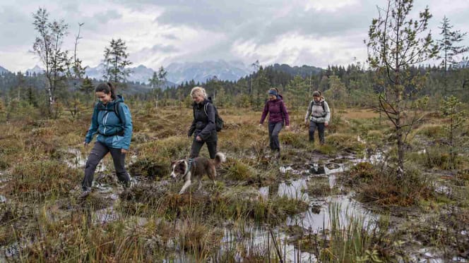 Wanderinnen im Moor