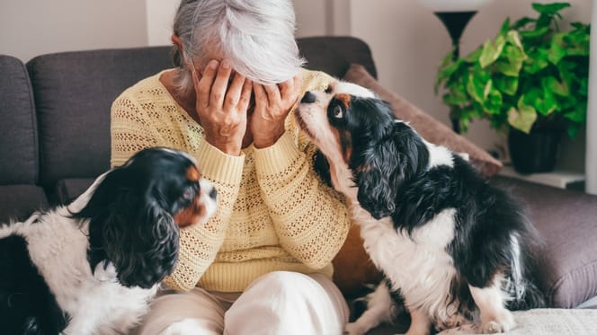 Weinende ältere Frau mit zwei Hunden