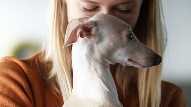 Woman holding Italian Greyhound dog